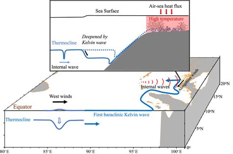 Schematic of equatorial Kelvin waves influencing IWs and coral refugia... | Download Scientific ...