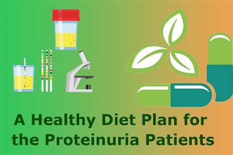 A Healthy Diet Plan for the Proteinuria Patients! - Ayurvedic Kidney Failure Treatment