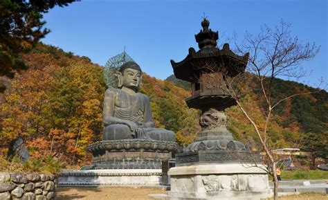 South Korea Tour Package | 10 Days 9 Nights | AFC Holidays Customized Tours