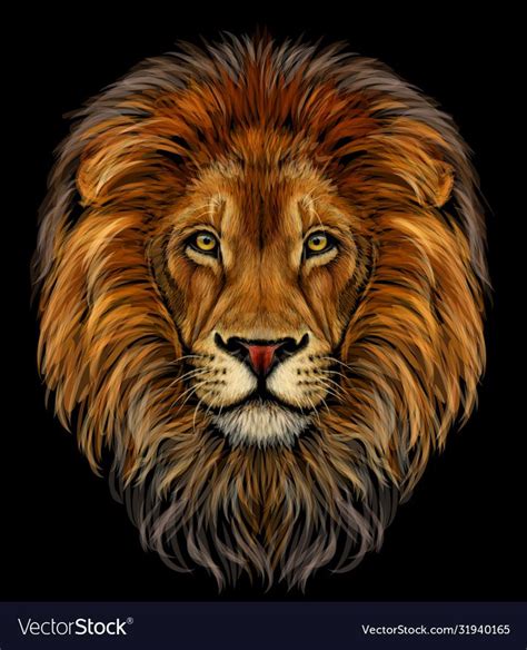 Lion color realistic portrait a lions head vector image on VectorStock | Lion face drawing, Lion ...