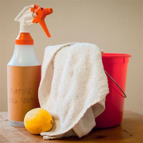 Are Natural Cleaning Products Actually Effective? 7 Homemade Products to Try