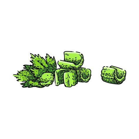 celery food sketch hand drawn vector 22610622 Vector Art at Vecteezy