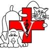 Myrtle Beach Animal Hospital - Welcome!