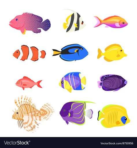 Set of sea fish color design flat Royalty Free Vector Image