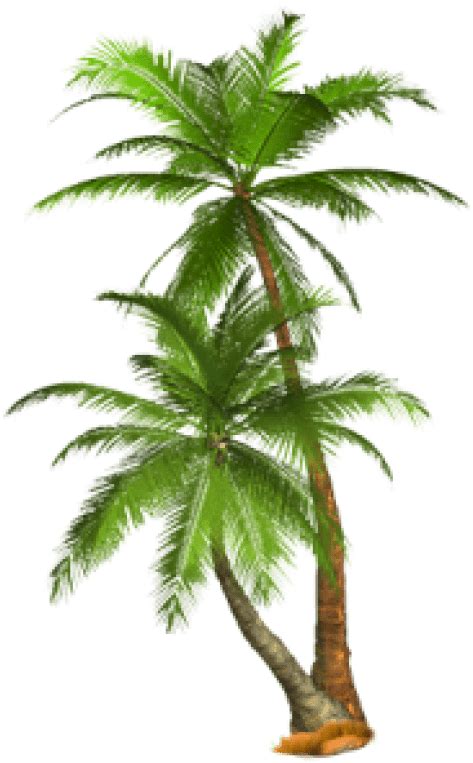 Download Free Png Palm Tree Png Images Transparent - Palm Trees ...