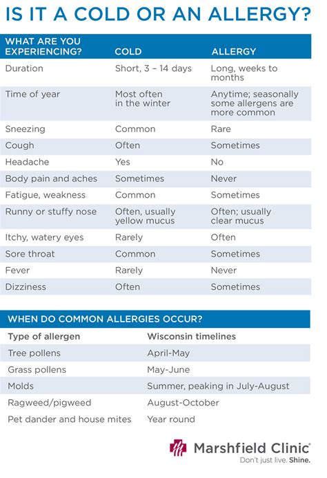 Is it a cold or an allergy?