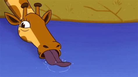 Giraffe Thirsty GIF - Giraffe Thirsty - Discover & Share GIFs