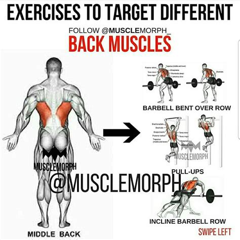 exercises to target Different: back muscles