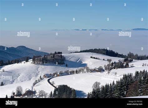 Black Forest in the winter Stock Photo - Alamy