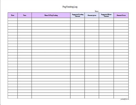 Fillable Peg Feeding Log / PDF/ Digital Health forms/