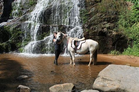 Giba Gorge Horse Trails (Durban) - 2021 All You Need to Know BEFORE You Go (with Photos ...