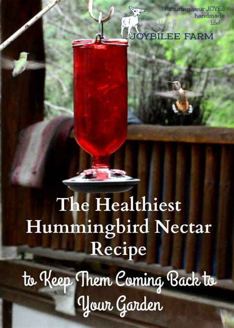 The Healthiest Hummingbird Nectar Recipe So They'll Come Back Next Year