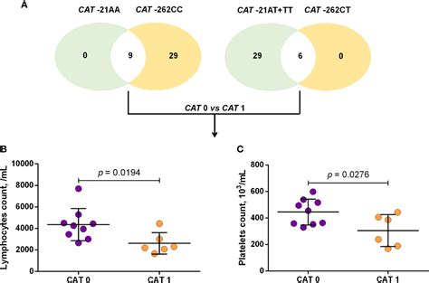 Frontiers | Sickle Cell Anemia: Variants in the CYP2D6, CAT, and SLC14A1 Genes Are Associated ...