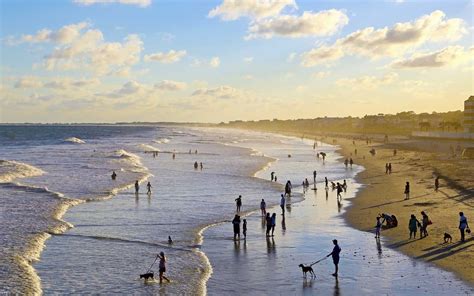 9 Best Beaches in South Carolina Lanai Island, Tybee Island, Island Beach, South Carolina ...