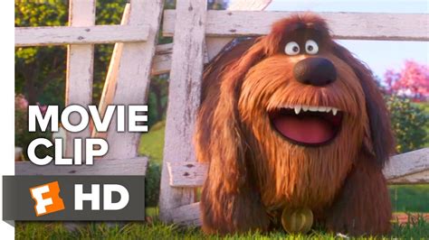 The Secret Life of Pets 2 Movie Clip - Duke is Taunted by a Cow (2019) | Movieclips Coming Soon ...