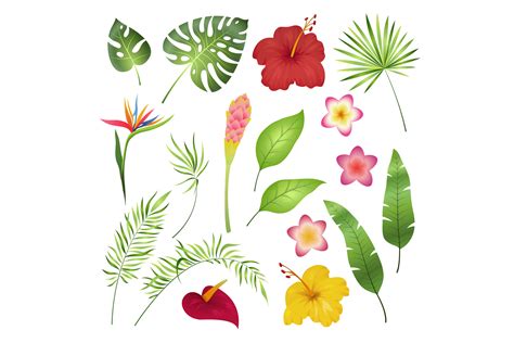 Tropical Flowers and Leaves. Caribbean T Graphic by yummybuum ...