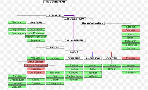 Indo-European Languages Romance Languages Proto-Indo-European Language Language Family, PNG ...