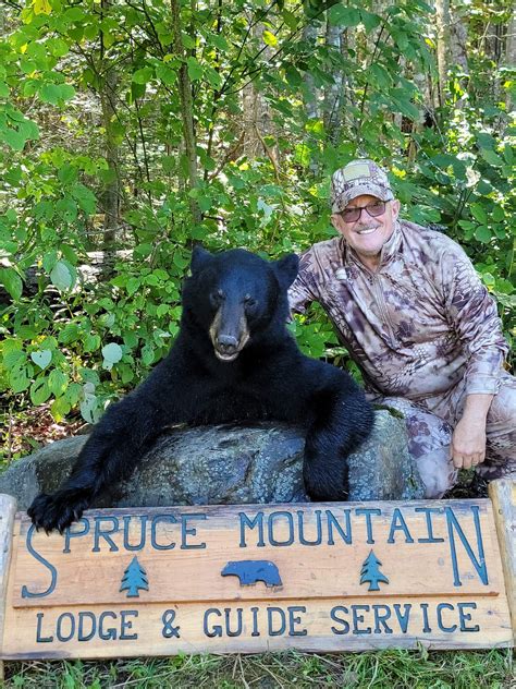 Maine Black Bear Hunting - SpruceMtn.com