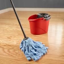 hardwood floor mop - The Popular Home