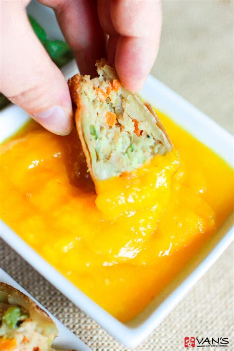 Egg Roll Dipping Sauces - Van's Kitchen