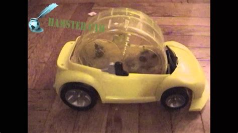 Hamlet Drives His Hamster Car - YouTube