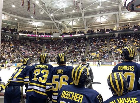 Michigan Wolverines, Ice Hockey, Basketball Court, Sports, Hs Sports ...