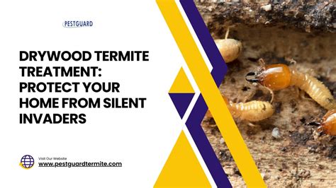 PPT - Drywood Termite Treatment Protect Your Home from Silent Invaders PowerPoint Presentation ...