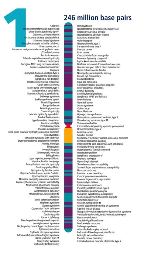 Introduction To Chromosome 1