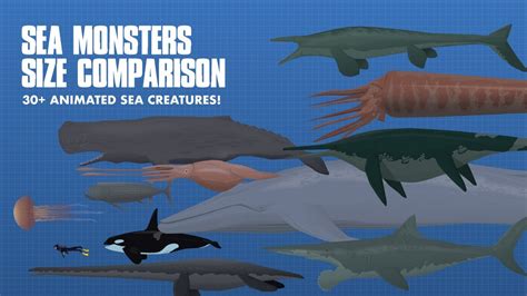 Largest Sea Creature