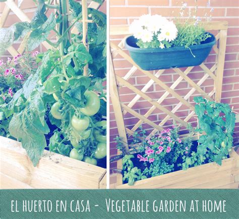 El huerto en casa ★ Vegetable garden at home - Kandy Diseños