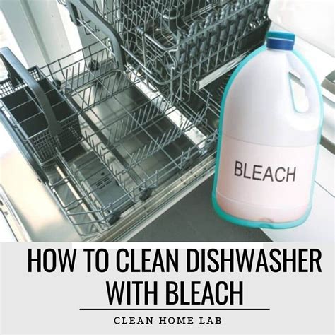 How to Clean Dishwasher With Bleach? - Clean Home Lab