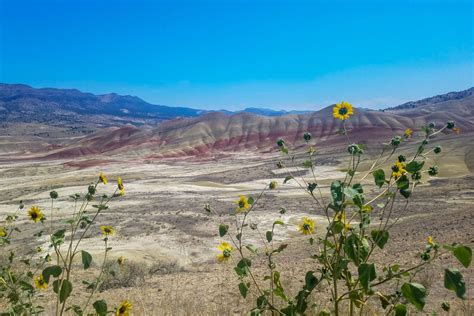 Wild country: Coffee, cults, and prehistoric creatures have all left ...