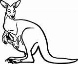 Zoo Kangaroo And Baby Coloring Page  Wecoloringpagecom sketch template