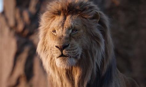 The Lion King Review: Disney’s Photorealistic Remake Is a Disaster | IndieWire