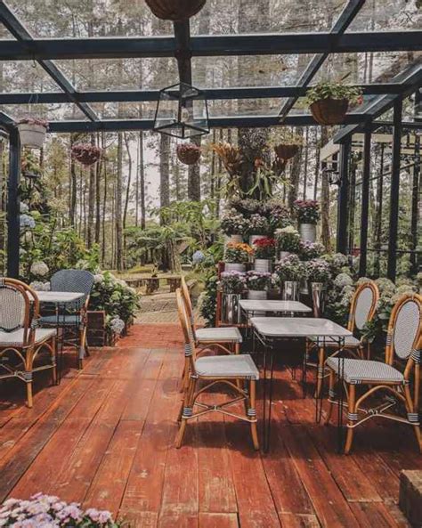 Golden Pine Orchid Forest: A Garden Themed Cafe in Bandung - Wisata Diary