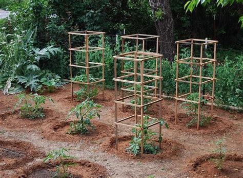 10 Cheap and Easy DIY Tomato Cages - Gardeners' Magazine | Tomato cages ...