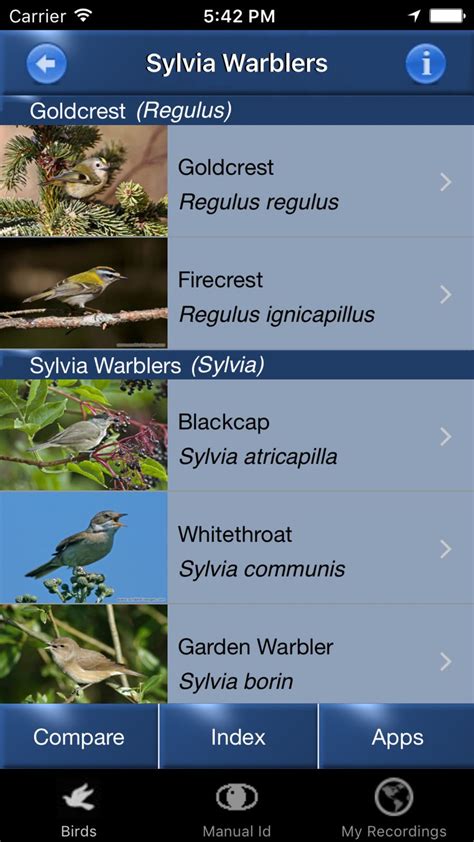 Bird Song Id Automatic Recognition | Song bird, Songs, Garden warbler