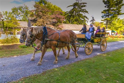 Horses Pulling a Wagon at Landis Valley Editorial Image - Image of ...