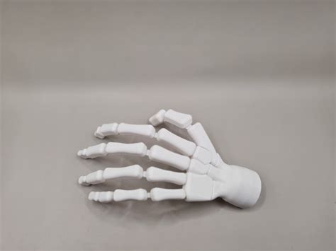 Skeleton hand (movable) por Wilko_SLO | Descargar modelo STL gratuito | Printables.com