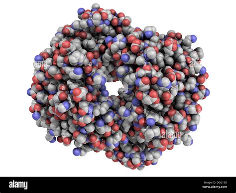 Chemical structure of human hemoglobin (Hb) protein molecule. Iron ...