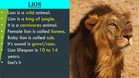 SOME FACTS OF WILD ANIMAL WITH PICTURES - YouTube