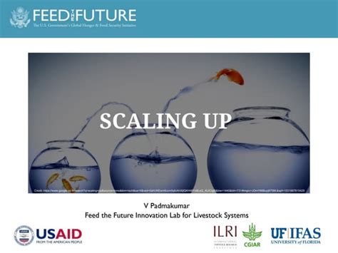 Scaling Up Livestock Technologies Through Innovation Processes | PPT