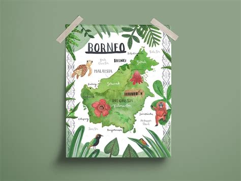 Borneo Map Illustration Illustrated Map of Borneo, Indonesia Art ...