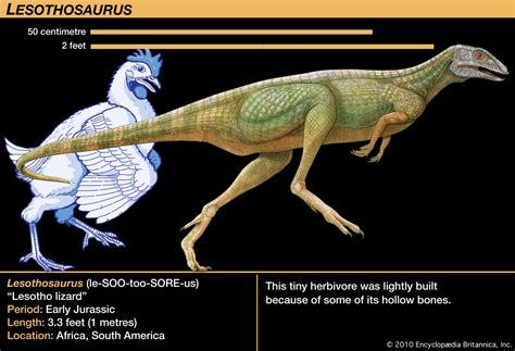 Lesothosaurus | dinosaur | Britannica