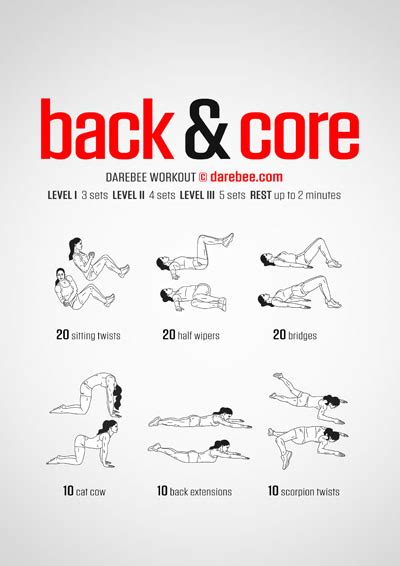 Lower Back Workouts Collection