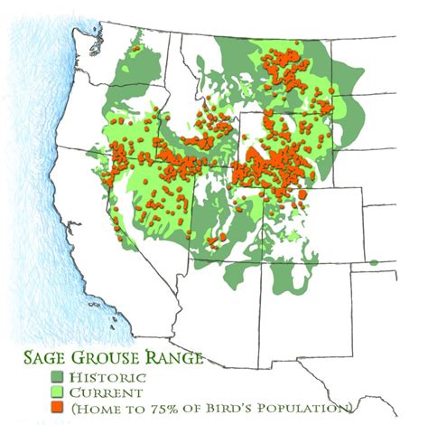 Ranchers Collaborate With Government To Protect Critical Sage Grouse ...