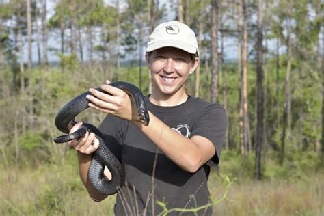 20 Eastern Indigo Snakes Reintroduced In Habitat That Hasn’t Seen Them In 35 Years - Reptiles ...