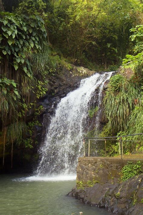 The Caribbean. Waterfall on the Island of Grenada. Stock Image - Image ...