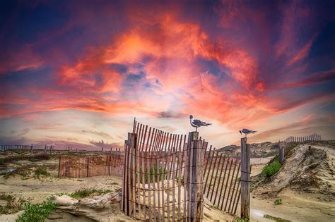 Guardians of the Mustang Island Sunset Photograph by Craig David Morrison | Fine Art America