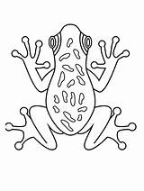 Frog Amphibian coloring Page sketch template